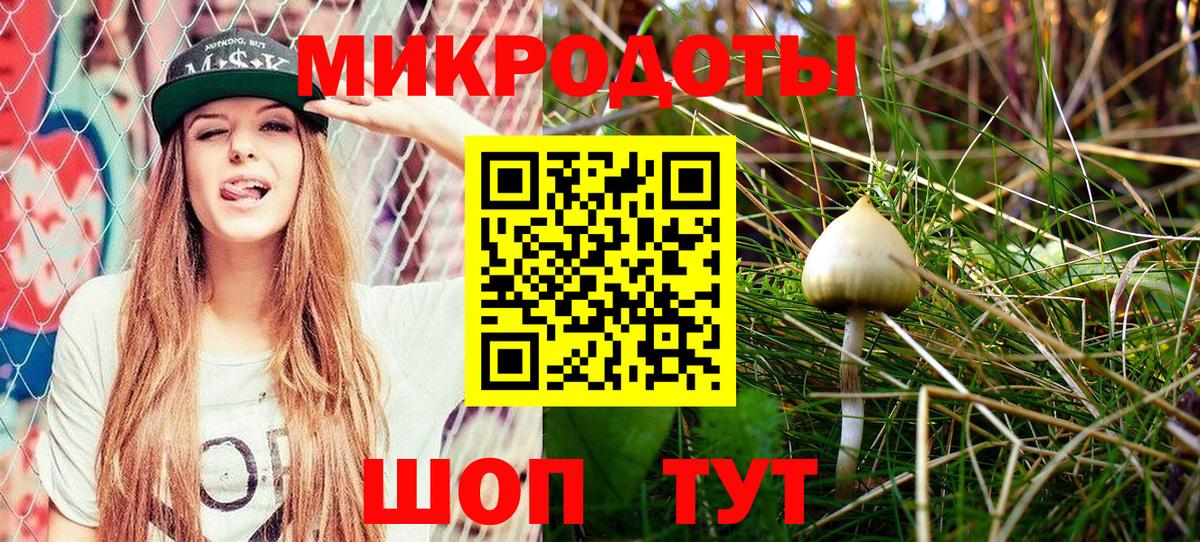 Галлюциногенные грибы Psilocybe Касимов